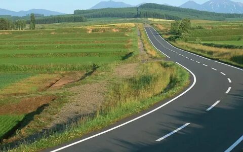 Біреудің есекке сиынып жатқан фотосы