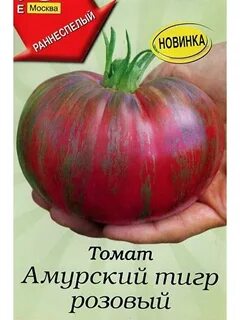 Сорт томата амурский тигр фото и описание