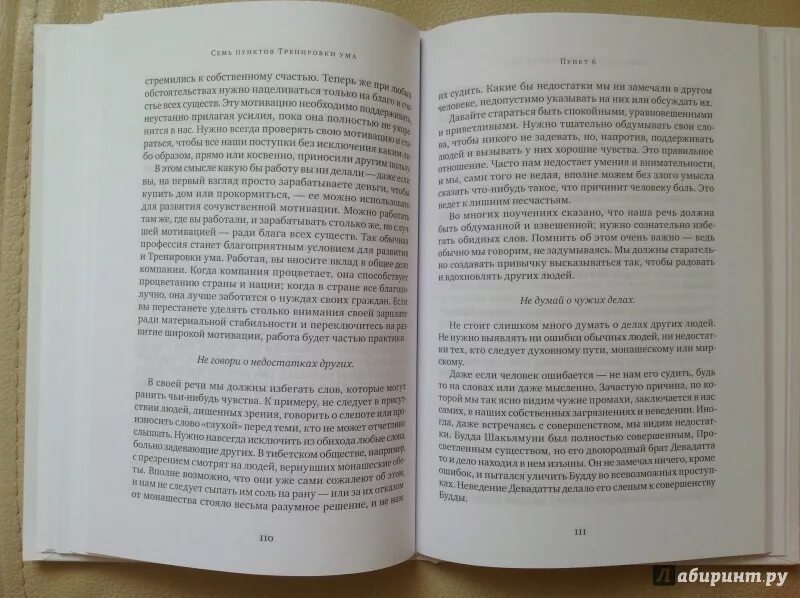 Тренировка ума книга. Тренировка ума том Вуджек. Книга семь пунктов тренировки ума. Книга тренировка ума том Вуджек. Книга тома вуджека