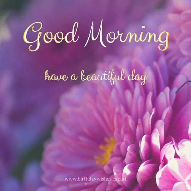 Have a nice day beautiful. Good morning have a beautiful day. have a beautiful day картинки. have a good day картинки красивые.