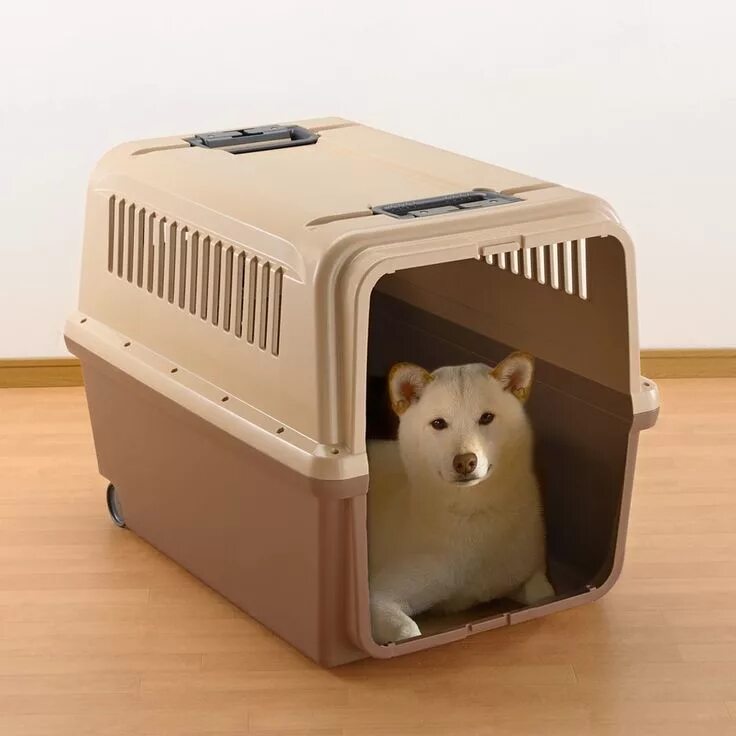 Pet mobile. Круглая переноска для кошек Richell. Pet Carrier 3d. Semi-rigid Pet Carrier. Переноска для кошек с лежанкой Richell.