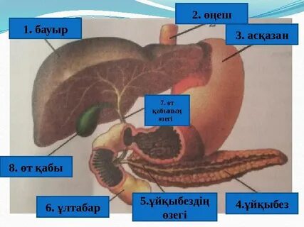 Әйел әскерилермен жыныстық қатынас