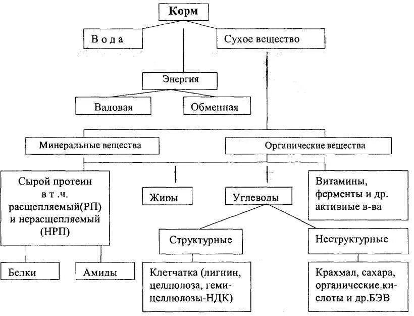 Схема химического состава корма. Схема зоотехнического анализа кормов. Схема зоотехнического анализа химического состава кормов. Схема зоотехнического анализа кормов модифицированная. Корма для животных 7 класс технология