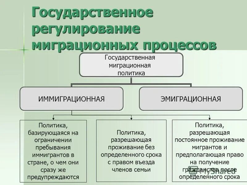 Основные миграционные процессы