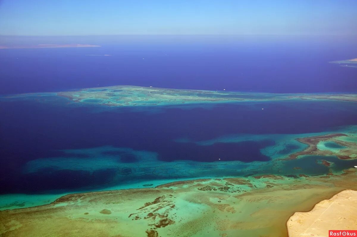 красное море хургада. красное море берег африки. выход к красному морю имеет. подводный мир эгейское море. выход к красному морю имеет.