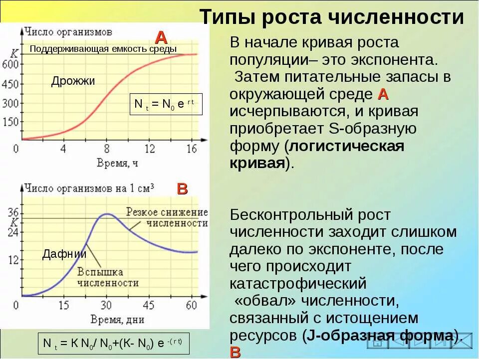 Какое значение популяции имеет емкость среды. Кривая роста популяции. Типы роста численности. Логистическая кривая роста численности популяции. Экспоненциальной Кривой роста популяции.