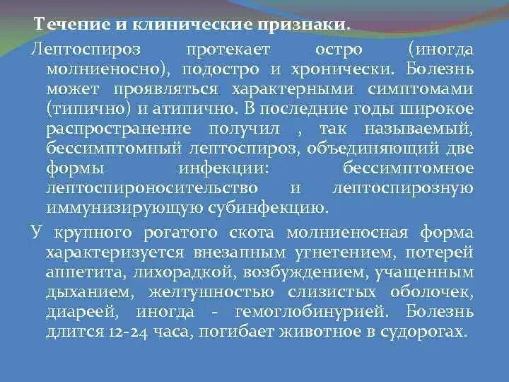 Клинические симптомы лептоспироза. Течение лептоспироза. Контагиозность лептоспироза. Лептоспироз эпидемиология. Течение лептоспироза.