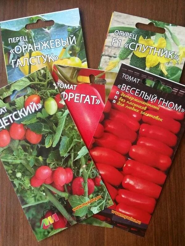 Томаты гномы отзывы описание сорта