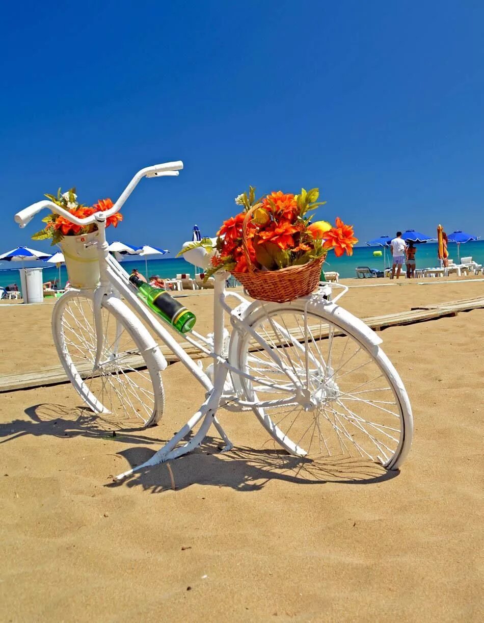 Вело греческий. Лето велосипед. Красивые велосипеды. Велосипед с цветами у моря. Велосипед с цветами лето.