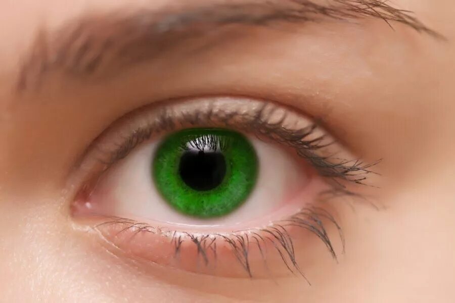 Зелёные глаза. Ярко зеленые глаза. Изумрудно зеленые глаза. Изумрудно зеленый цвет глаз. Какого цвета глазки