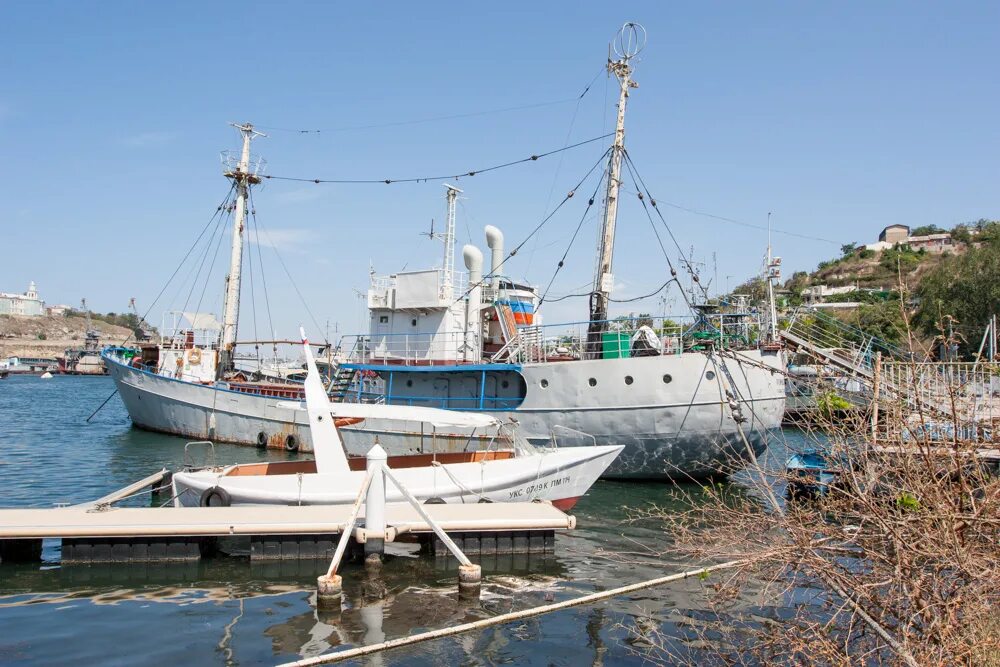 на юга севастополь. южная бухта севастополь. севастополь севастопольская бухта. южная бухта севастополь. южный севастопольская.