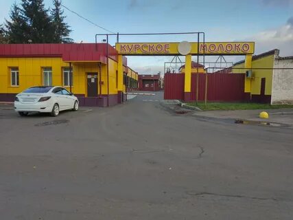 Курский контакты