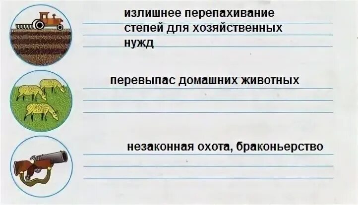 Подумайте какие экологические проблемы степной зоны. Подумайте какие экологические проблемы степной зоны