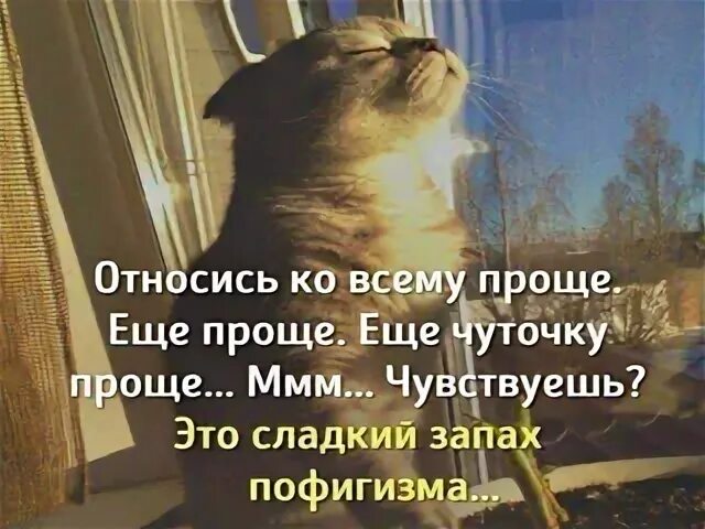 Относись ко всему проще еще чуточку. Проще еще проще. Относись ко всему проще чувствуешь сладкий запах пофигизма. Сладкий запах. Ощущается сладкий