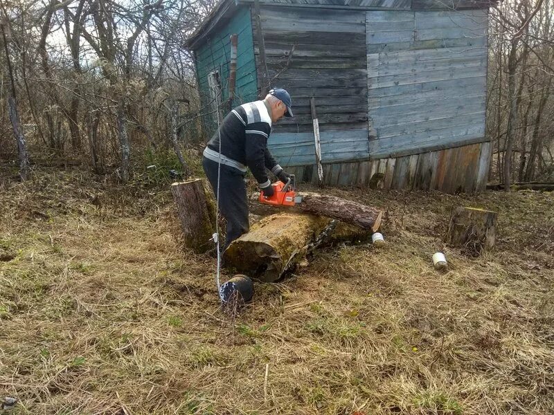 Срубить яблоню. Пилить деревья на своем участке. Пилит яблоню. Спил яблонь в саду. Спилить яблони