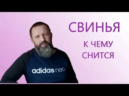 К чему снится свинья живая сонник