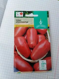 Семена помидор краснодар