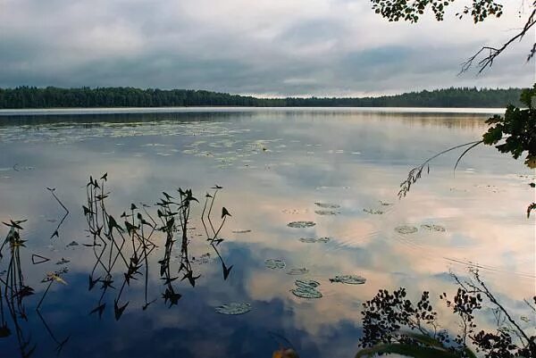 Глубокое озеро окончание. Озеро глубокое Московская область. Озеро глубокое Колюбакино. Озеро глубокое Рузский район. Озеро в Колюбакино.