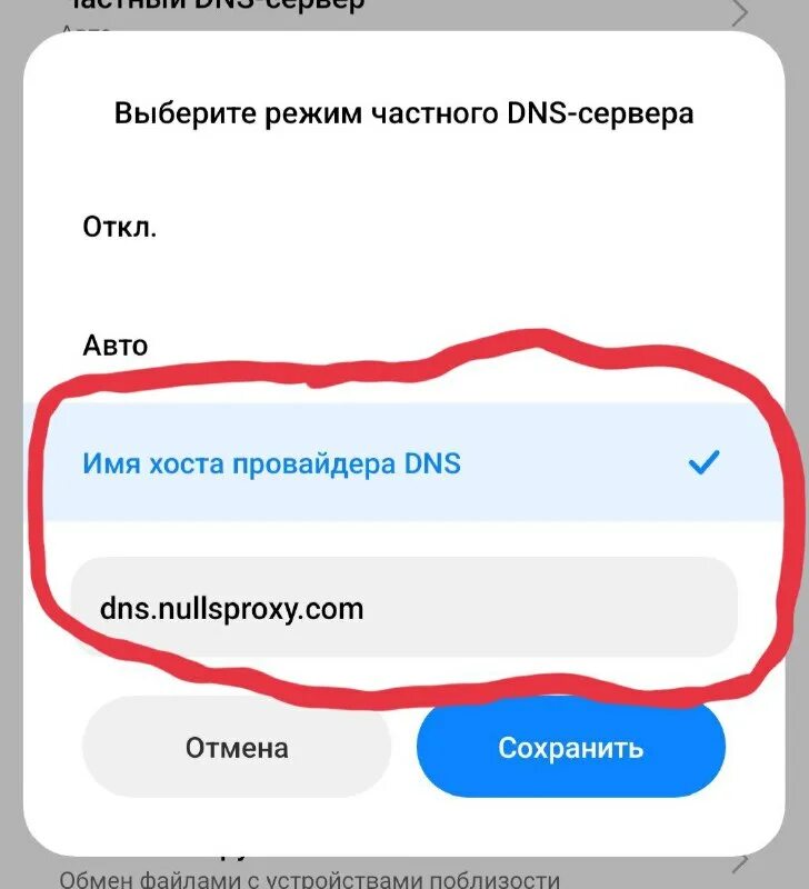 Имя хоста провайдера dns. Имя хоста провайдера dns