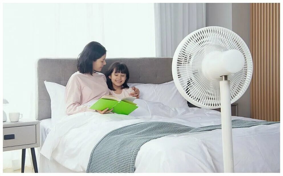 Xiaomi inverter fan