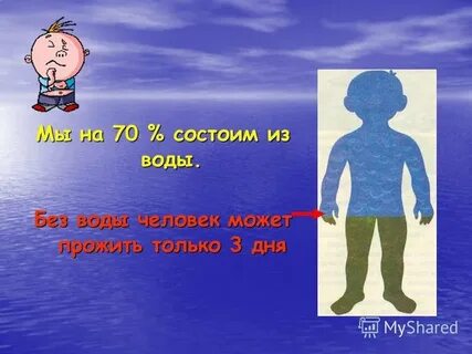 Вода в жизни человека 6 класс