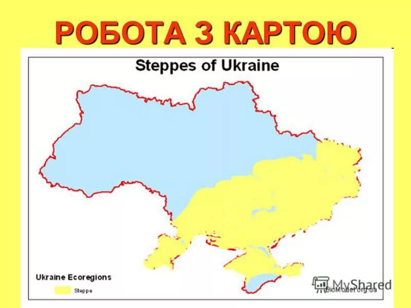 Зоны украины видео. Степи Украины на карте. Степная зона Украины на карте. Карта Украины леса и степи. Карта природных зон Украины.