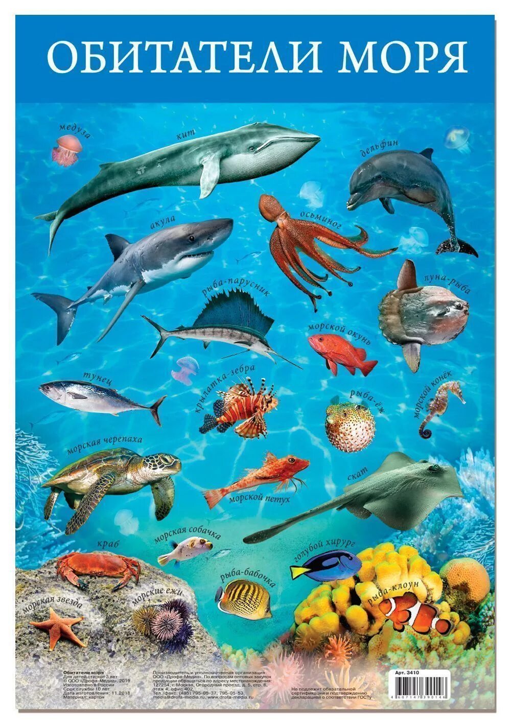 Обитатели морей названия. Морские обитатели для детей. Плакат "обитатели моря". Жители морей и океанов для детей. Обитатели морей и океанов для детей.