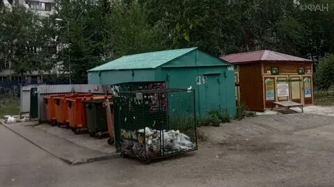 Гуп экология