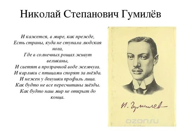 Читать николаев. Гумилев Николай Степанович стихотворения. Стихи Николая Степановича Гумилева. Стихотворение Николая Гумилева. Николай Гумилёв стихи.