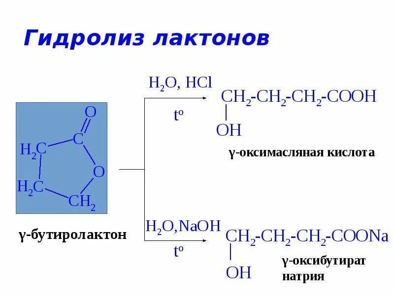 Лактид и лактон. Гидролиз лактонов. Кислотный гидролиз лактонов. Гидролиз лактонов и лактамов. Кислотный гидролиз это