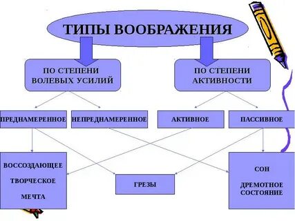 Выберите виды воображения