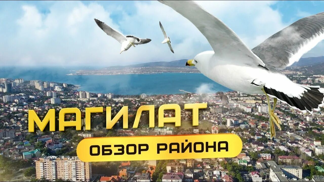 Магилатов 2025