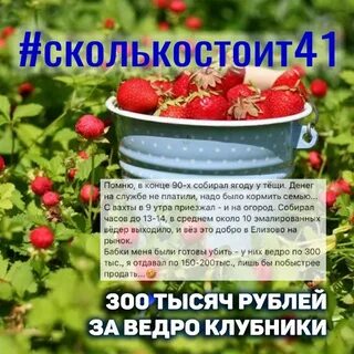 Ведро клубники сколько кг