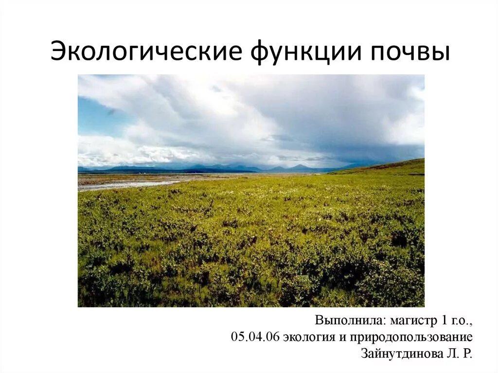 Экологические функции почв. Глобальные экологические функции почв. Экология:функция почвы. Экологическая роль почвы