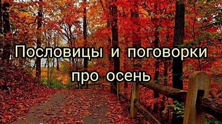 Поговорки на тему осень. Поговорки про осень. Пословицы про осень. Осенние пословицы и поговорки. Зима не лето в шубу одета.