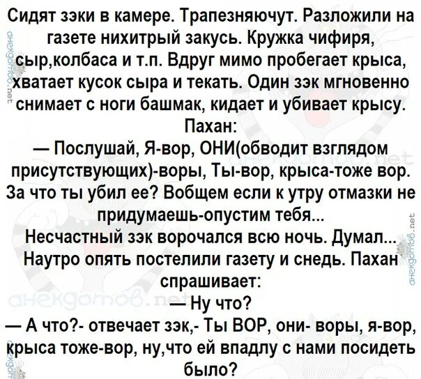 Мимо пробежал встречный пароход. Анекдот про крысу и воров. Крыса-ворюга. Смешной стих про крысу ( вора).