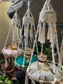 Макраме кошка