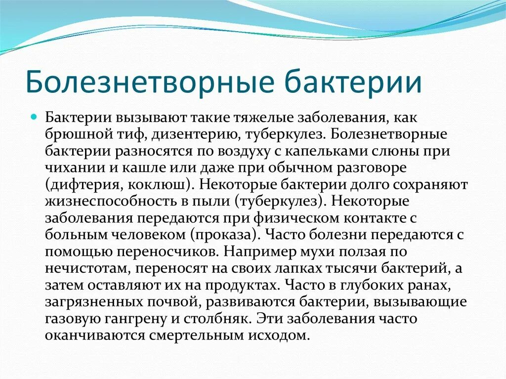 Болезнетворные бактерии биология. Доклад о болезни вызываемой бактериями. Болезнетворные бактерии. Сообщение о болезнетворных бактериях. Сообщение "заболевания вызываемые бактериями".