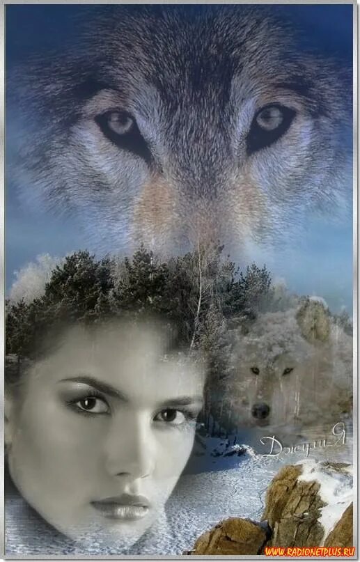 Одинокая волчица читать. Девушка с волком. Волчица и женщина. Девушка и волк фото. Девушка со взглядом волчицы.