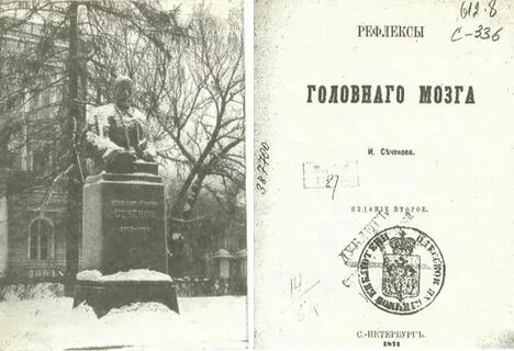 Сеченов рефлексы головного