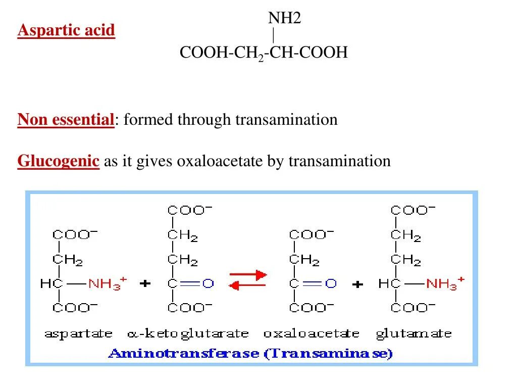 Метионин и липоевая кислота для печени. Glucogenic Amino acid. Ketogenic Amino acid. Nh2ch2cooh дипептид. Метионин,аспартовая кислота.