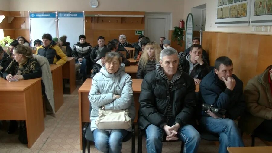 Вакансии центра занятости староминская. Цзн северского района. каневской цзн. центр занятости ливны. цзн каневская.