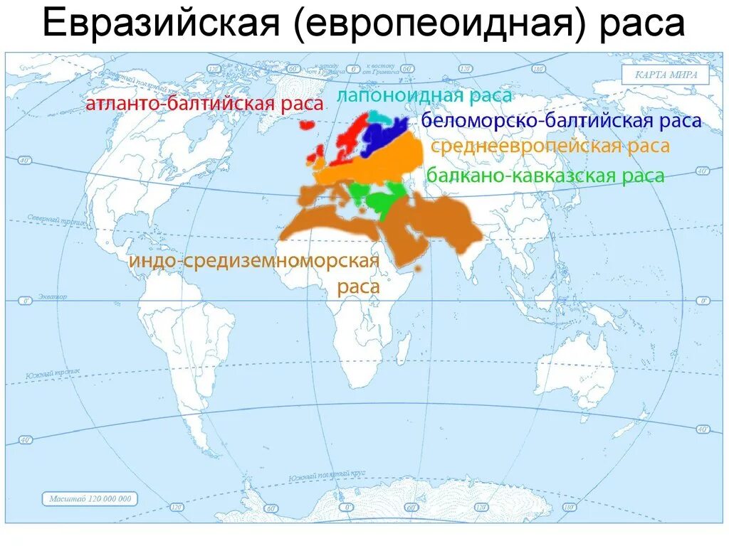 Ареалы распространения человеческих рас. Ареал обитания европеоидной расы. Карта распространения европеоидной расы. Первоначальный ареал обитания европеоидной расы. Европеоидная раса расселение на карте.