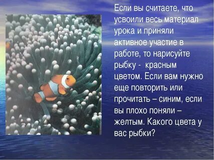Организмов в морях и океанах
