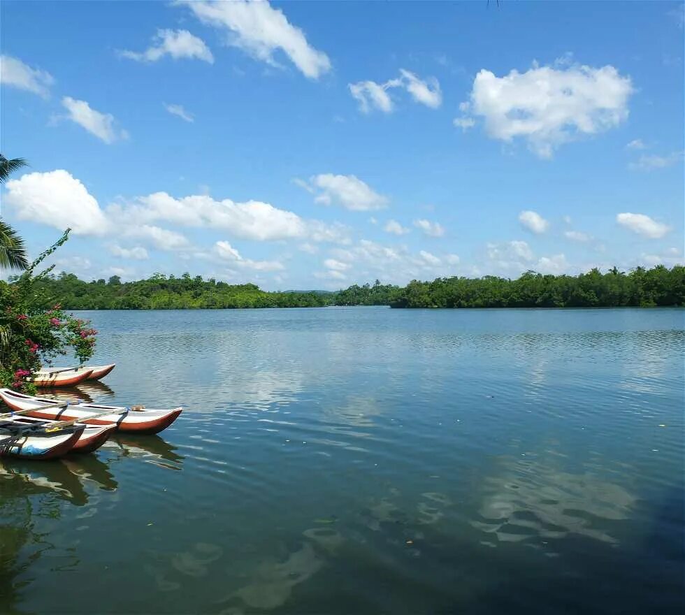 Озера шри ланки. Озеро Коггала. Коггала Шри Ланка. Лагуна Шри Ланка. Озеро Когалле Шри Ланка.