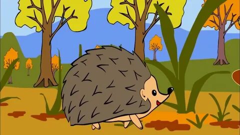 Мультиварик ежик