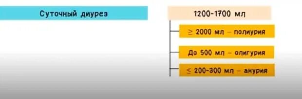 белок в моче норма г/л. анализ в моче лейкоциты норма. анализы при цистите у женщин показатели. 033 белка в моче. белок в моче нормальный показатель.