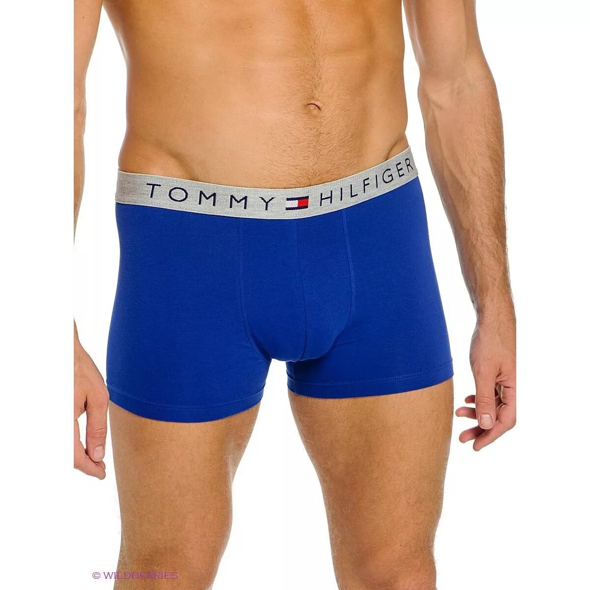 Мужские трусы tommy. Трусы Томми Хилфигер. Трусы Tommy Hilfiger мужские. Трусы Томми Хилфигер мужские боксеры. Трусы Томми Хилфигер мужские черные.