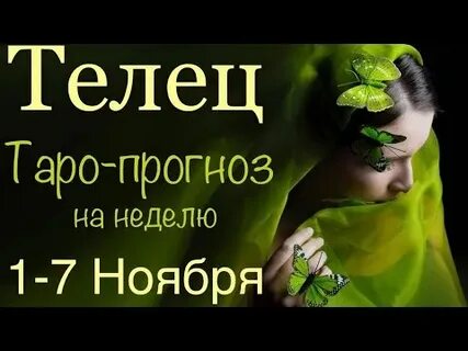 7 ноября телец