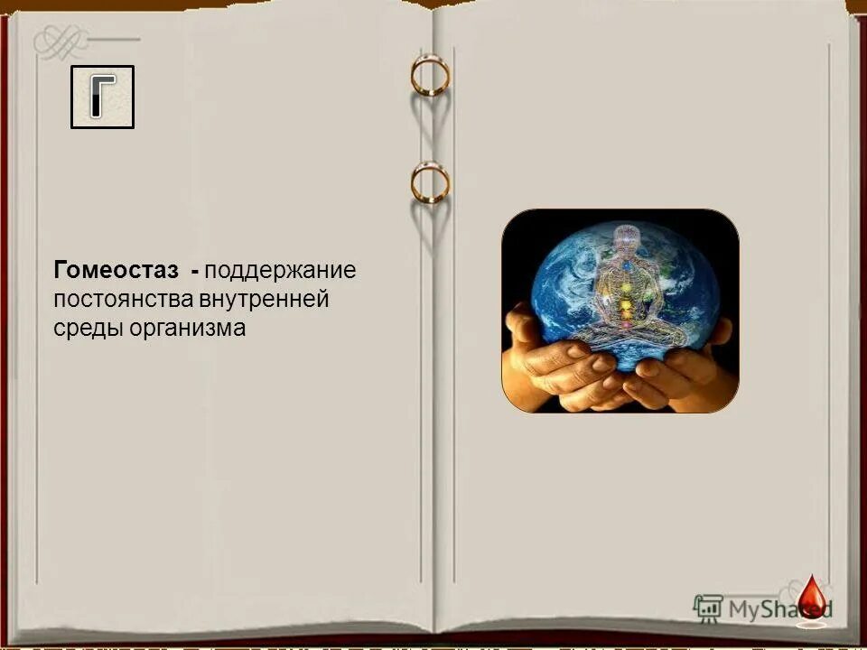 Гомеостаз это поддержание постоянства. Внутренняя среда организма гомеостаз. Гомеостаз это поддержание постоянства. Поддержание постоянства внутренней среды организма. Гомеостаз это поддержание постоянства.